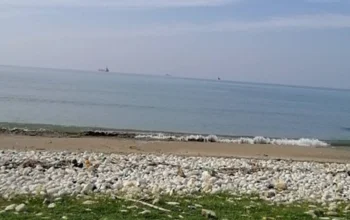 Live Webcams of Syria with Mediterranean Sea in Background